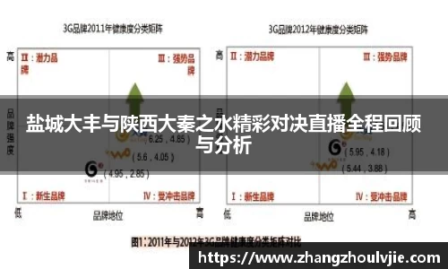 盐城大丰与陕西大秦之水精彩对决直播全程回顾与分析
